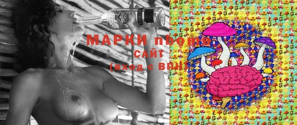 spice Абаза