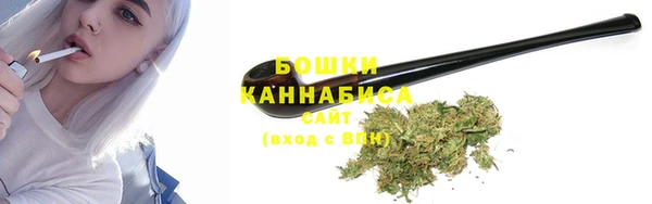 spice Абаза