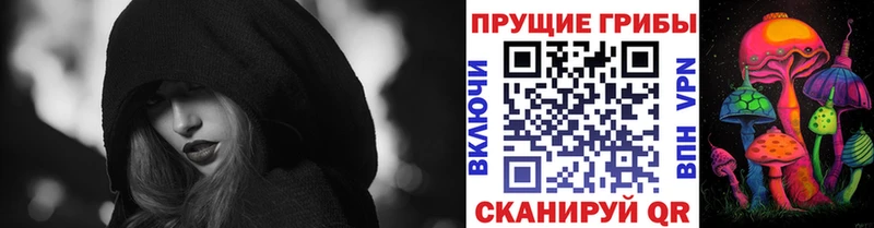 Галлюциногенные грибы Psilocybe  Тырныауз 